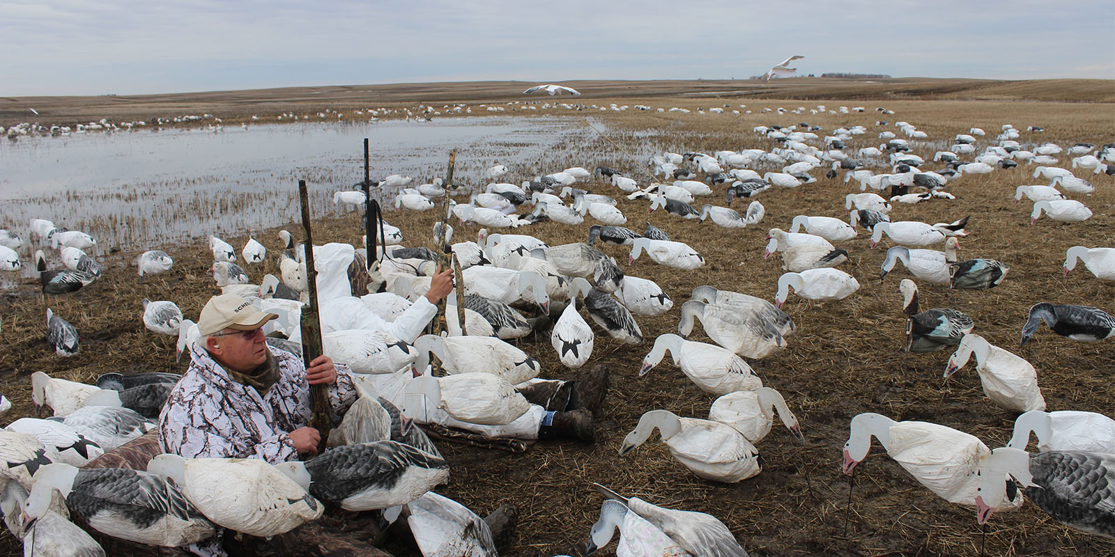 Guys in Spring Snow Goose Spread